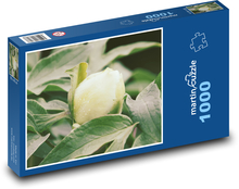 Biela pivonka - záhrada, kvetina Puzzle 1000 dielikov - 60 x 46 cm 