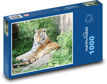 Tygr - zvíře, zoo  Puzzle 1000 dílků - 60 x 46 cm