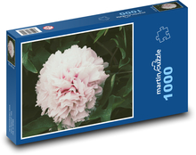 Różowa piwonia - kwiat, ogród Puzzle 1000 elementów - 60x46 cm