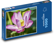 Lotus - květ, okvětní lístky Puzzle 1000 - 60x46 cm