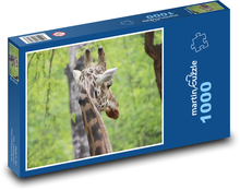 Giraffe - Säugetier, Afrika Puzzle 1000 Teile - 60 x 46 cm