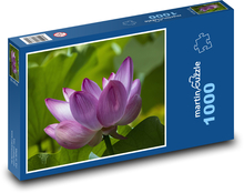 Lotosový kvet - fialová rastlina, fialový kvet Puzzle 1000 dielikov - 60 x 46 cm