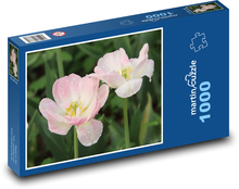 Růžové tulipány - květ, zahrada  Puzzle 1000 dílků - 60 x 46 cm