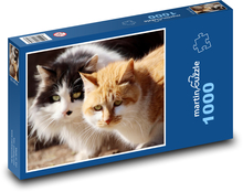 Katzen - Haustiere, Tiere Puzzle 1000 Teile - 60 x 46 cm