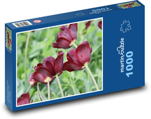 Kvitnúce tulipány - kvety, záhrada Puzzle 1000 dielikov - 60 x 46 cm 