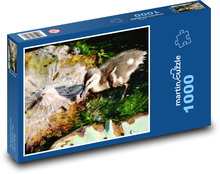 Divoká kachna - pták, voda Puzzle 1000 dílků - 60 x 46 cm