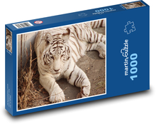 Weißer Tiger - große Katze, Säugetier Puzzle 1000 Teile - 60 x 46 cm