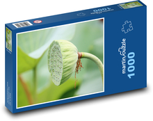Lotus - aquatic plant, seed pod Puzzle 1000 pieces - 60 x 46 cm 