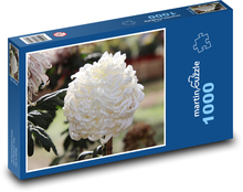 White chrysanthemum - flower, flower Puzzle 1000 pieces - 60 x 46 cm 