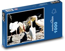 Pelicans - birds, animals Puzzle 1000 pieces - 60 x 46 cm 