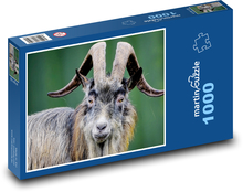 Irish goat - animal, ruminant Puzzle 1000 pieces - 60 x 46 cm 