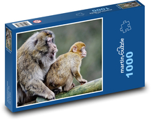 Barbarian macaques - monkeys, cubs Puzzle 1000 pieces - 60 x 46 cm 