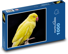 Žlutý papoušek - pták, peří Puzzle 1000 dílků - 60 x 46 cm