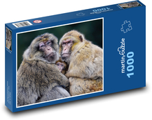 Barbarská opice - makak, rodina Puzzle 1000 dílků - 60 x 46 cm