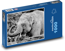 Indian elephant - elephant, animal Puzzle 1000 pieces - 60 x 46 cm 