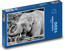Slon indický - sloník, zviera Puzzle 1000 dielikov - 60 x 46 cm 