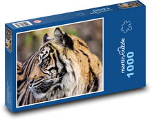 Tygr - divoká kočka, zvíře  Puzzle 1000 dílků - 60 x 46 cm