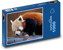 Panda červená - zvíře, savec  Puzzle 1000 dílků - 60 x 46 cm
