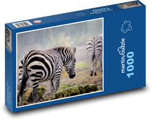 Zebra - wildlife, mammal Puzzle 1000 pieces - 60 x 46 cm 