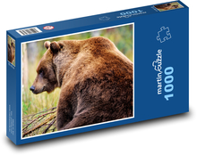 Medvěd hnědý - grizzly, zvíře Puzzle 1000 dílků - 60 x 46 cm