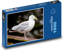 Racek stříbřitý - pták, peří Puzzle 1000 dílků - 60 x 46 cm