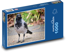 Vrána šedá - pták, zvíře Puzzle 1000 dílků - 60 x 46 cm