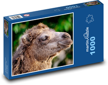 Double hump camel - animal, head Puzzle 1000 pieces - 60 x 46 cm 