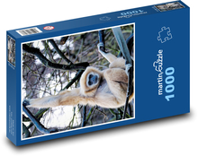 Gibon bieloruký - opice, primát Puzzle 1000 dielikov - 60 x 46 cm 