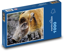 Dzik - pysk, zwierzę Puzzle 1000 elementów - 60x46 cm