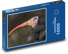 Ibis - pták, zvíře Puzzle 1000 dílků - 60 x 46 cm