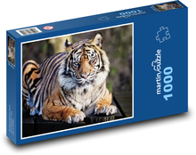 Tygr - velká kočka, zvíře Puzzle 1000 dílků - 60 x 46 cm