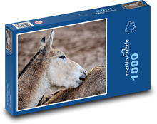 Turkmenský kulan - osel, zvíře  Puzzle 1000 dílků - 60 x 46 cm