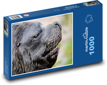 Uškatec - šelma, plutvonožec Puzzle 1000 dielikov - 60 x 46 cm 