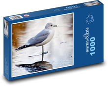 Mewa - ptak, morze Puzzle 1000 elementów - 60x46 cm