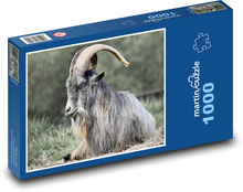 Irish goat - animal, mammal Puzzle 1000 pieces - 60 x 46 cm 