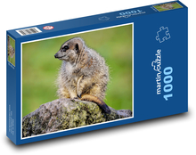 Surikata - zvíře, savec Puzzle 1000 dílků - 60 x 46 cm