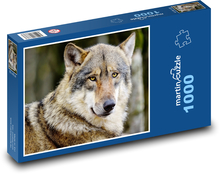Grauer Wolf - Tier, Tier Puzzle 1000 Teile - 60 x 46 cm