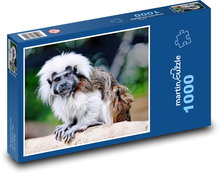Tamarin - small monkey, animal Puzzle 1000 pieces - 60 x 46 cm 