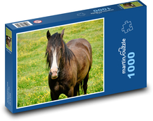 Hnědý kůň - zvíře, louka Puzzle 1000 dílků - 60 x 46 cm