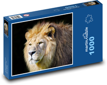 Lion - mane, mammal Puzzle 1000 pieces - 60 x 46 cm 