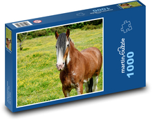 Kůň - louka, pole Puzzle 1000 dílků - 60 x 46 cm
