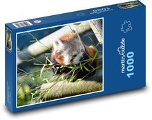 Panda červená - býložravec, zvíře Puzzle 1000 dílků - 60 x 46 cm