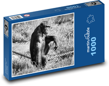Šimpanz - opice, zoo Puzzle 1000 dílků - 60 x 46 cm