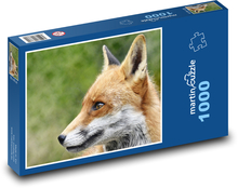 Liška - divoké zvíře, savec Puzzle 1000 dílků - 60 x 46 cm