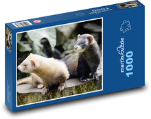 Frettchen - Tiere, Säugetiere Puzzle 1000 Teile - 60 x 46 cm