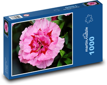 Růžový květ - květina, zahrada Puzzle 1000 dílků - 60 x 46 cm