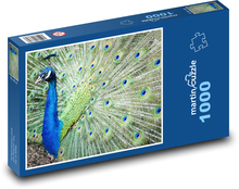 Páv - pták, barevné peří Puzzle 1000 dílků - 60 x 46 cm