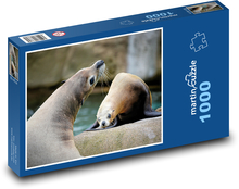 Lachtani - vodní zvířata, savci  Puzzle 1000 dílků - 60 x 46 cm