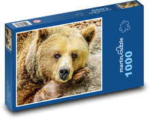 Niedźwiedź brunatny - zwierzę, ogród zoologiczny Puzzle 1000 elementów - 60x46 cm