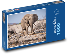 Slon - Namibie, národní park Puzzle 1000 dílků - 60 x 46 cm